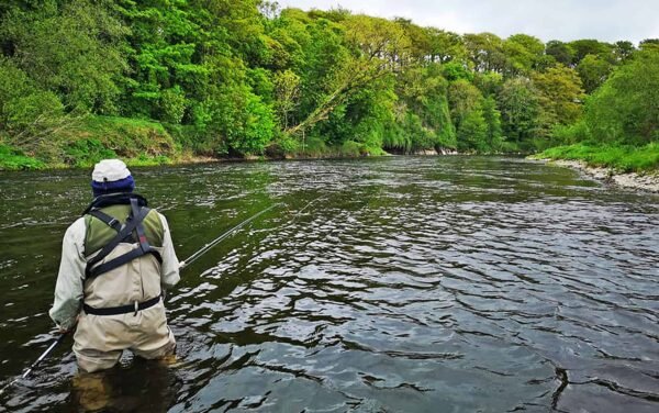 Blackwater Salmon in Ireland is fly fishing and spin fishing (9)