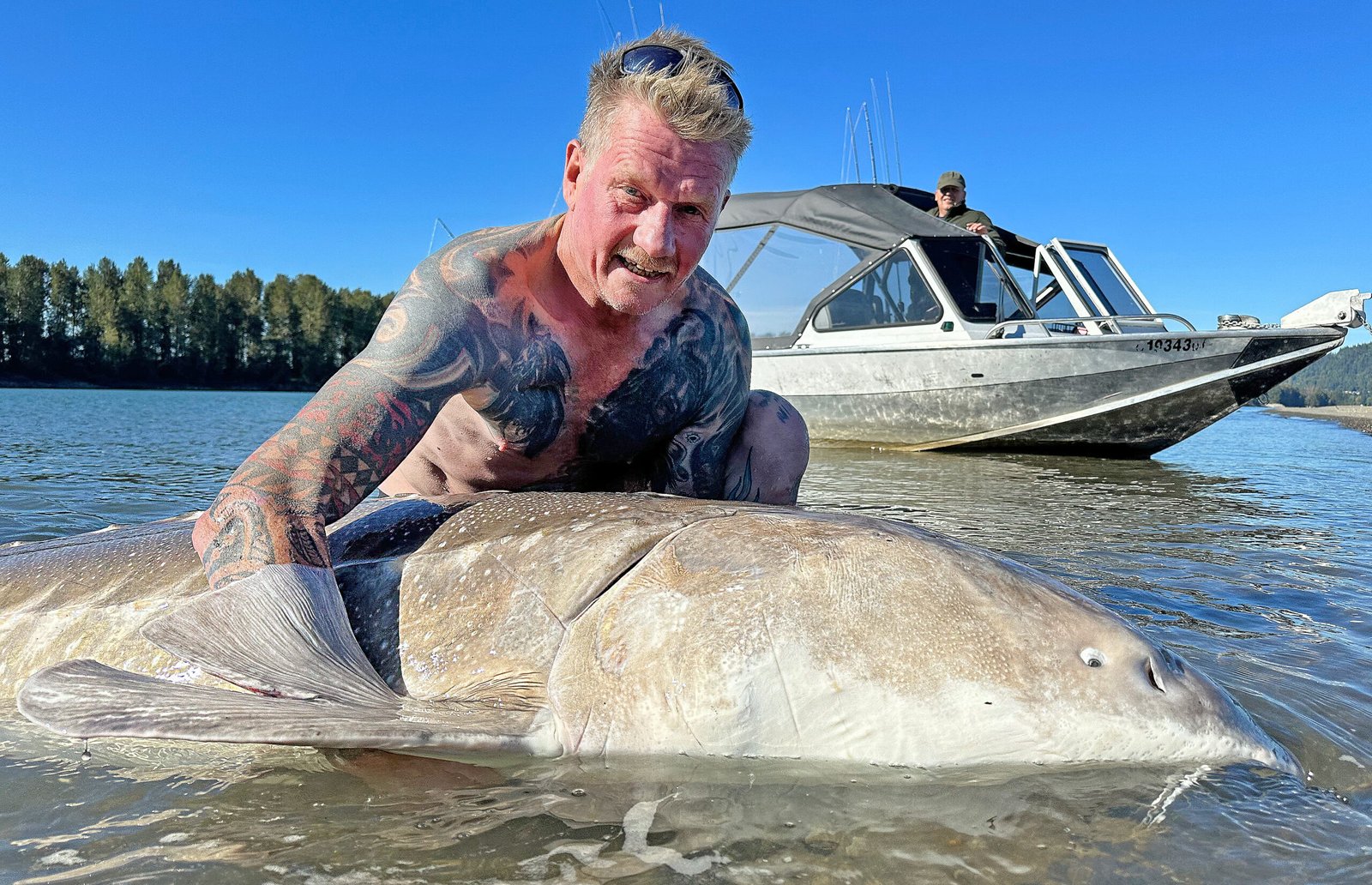 Fishingweeks after Sturgeon Karsten med stor 308cm 2 scaled % - fishingweeks