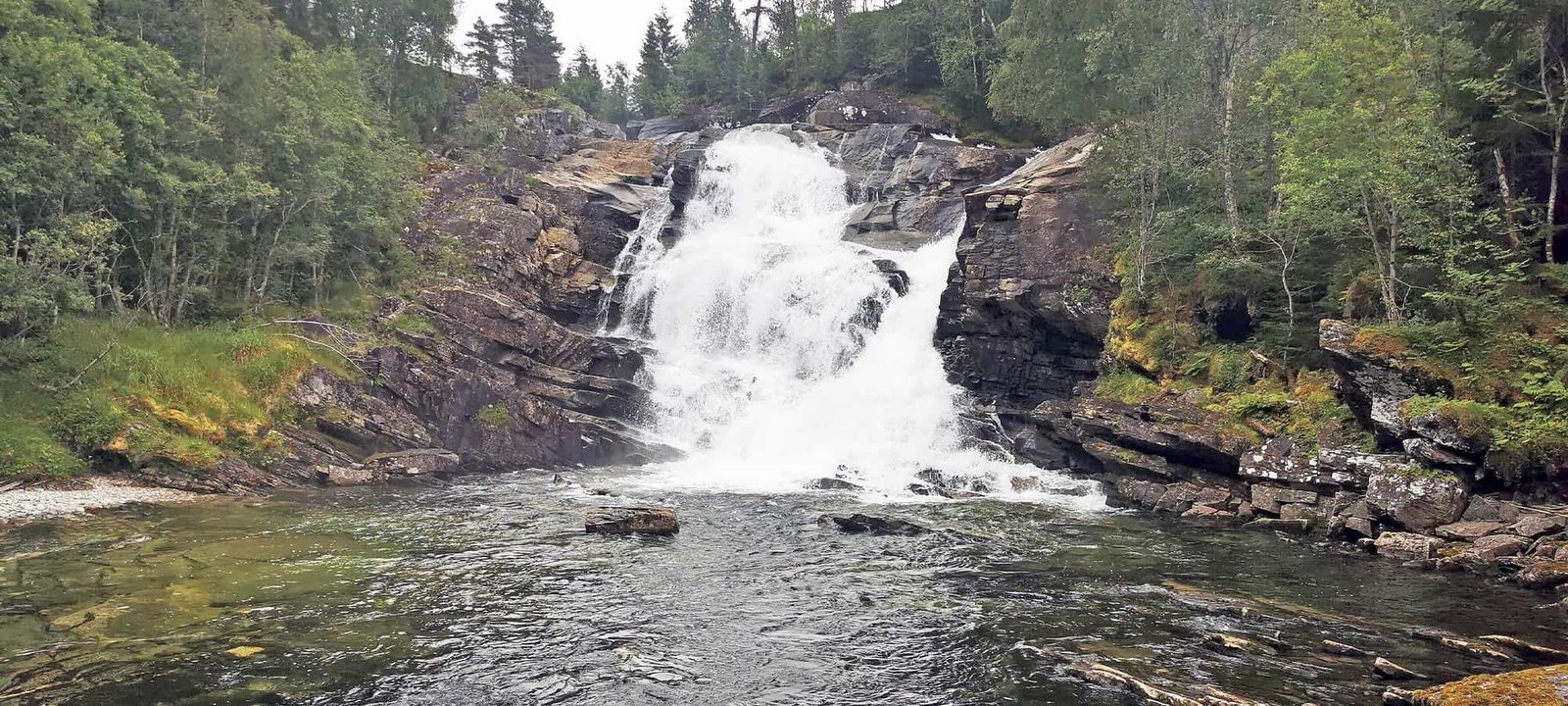 Fishingweeks in Norway flyfishing salmon in Todalen 21 % - fishingweeks