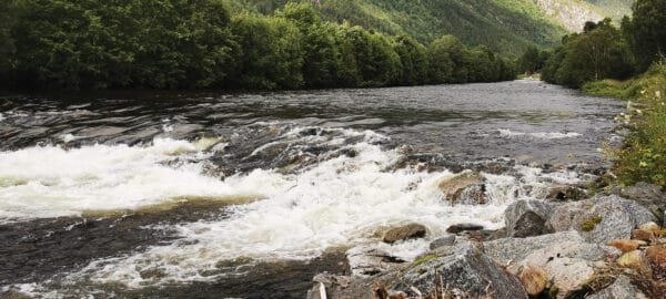 Fishingweeks in Norway flyfishing salmon in Todalen 25 % - fishingweeks