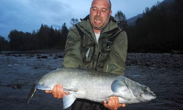 Fiskerejse Chilliwack Morten med kongelaks igen % - fishingweeks