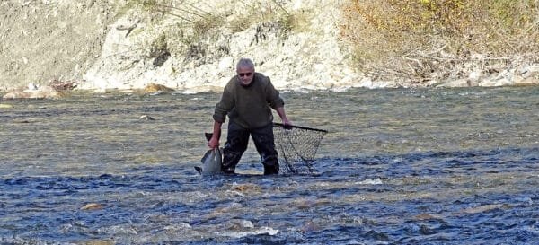 Salmon in mid October