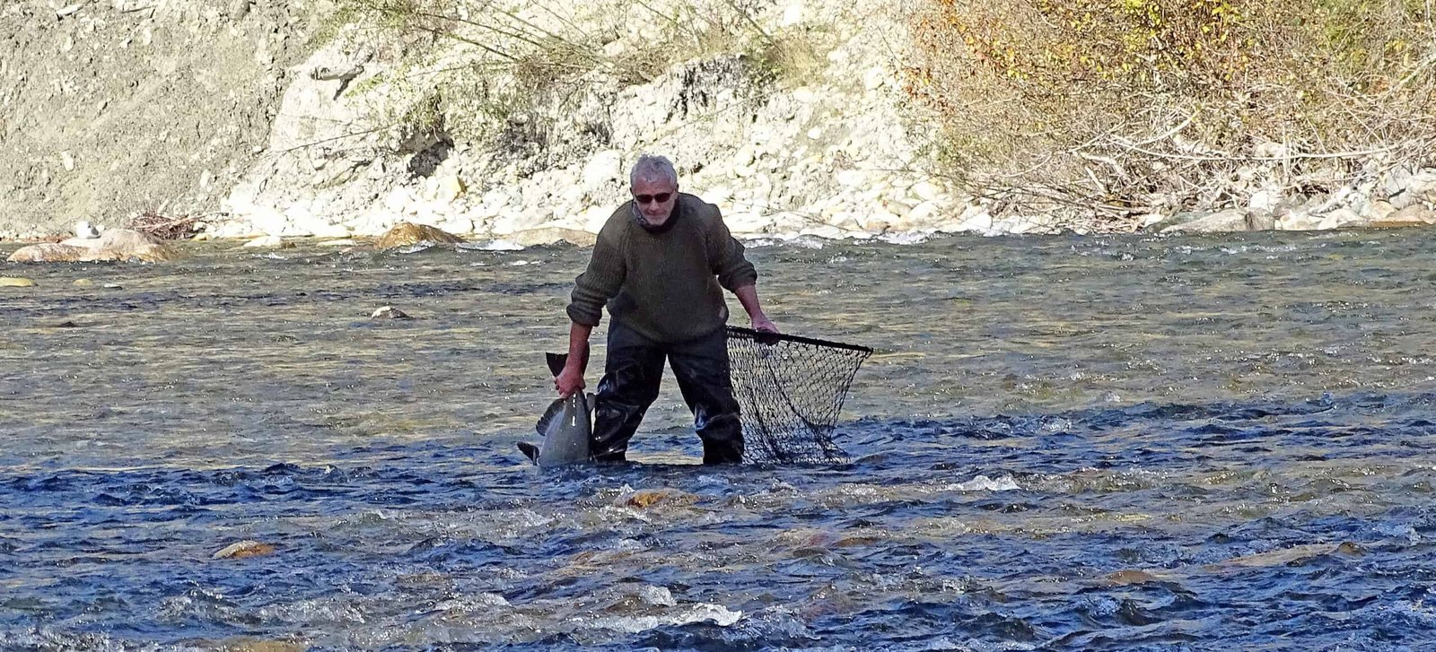 Fiskerejse tilae Chilliwack i Canada efter kongelaks hundelaks soelv laks og stoer 44 scaled % - fishingweeks