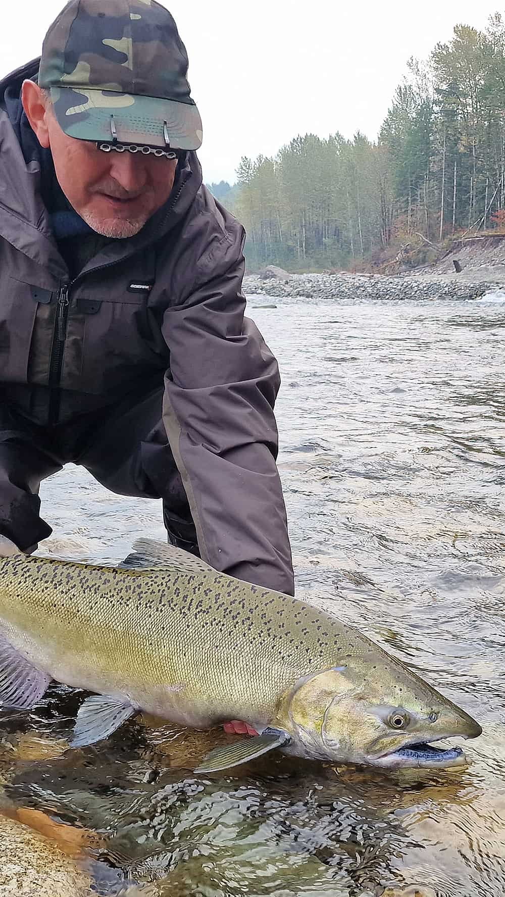 Fishing adventure to Chilliwack catching King Salmon silver salmon and sturgeon 41 % - fishingweeks