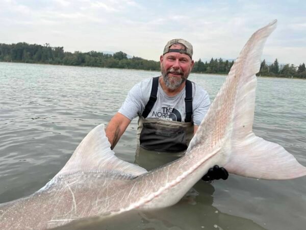 Fishing adventure to Chilliwack fishing King Salmon, silver salmon and sturgeon