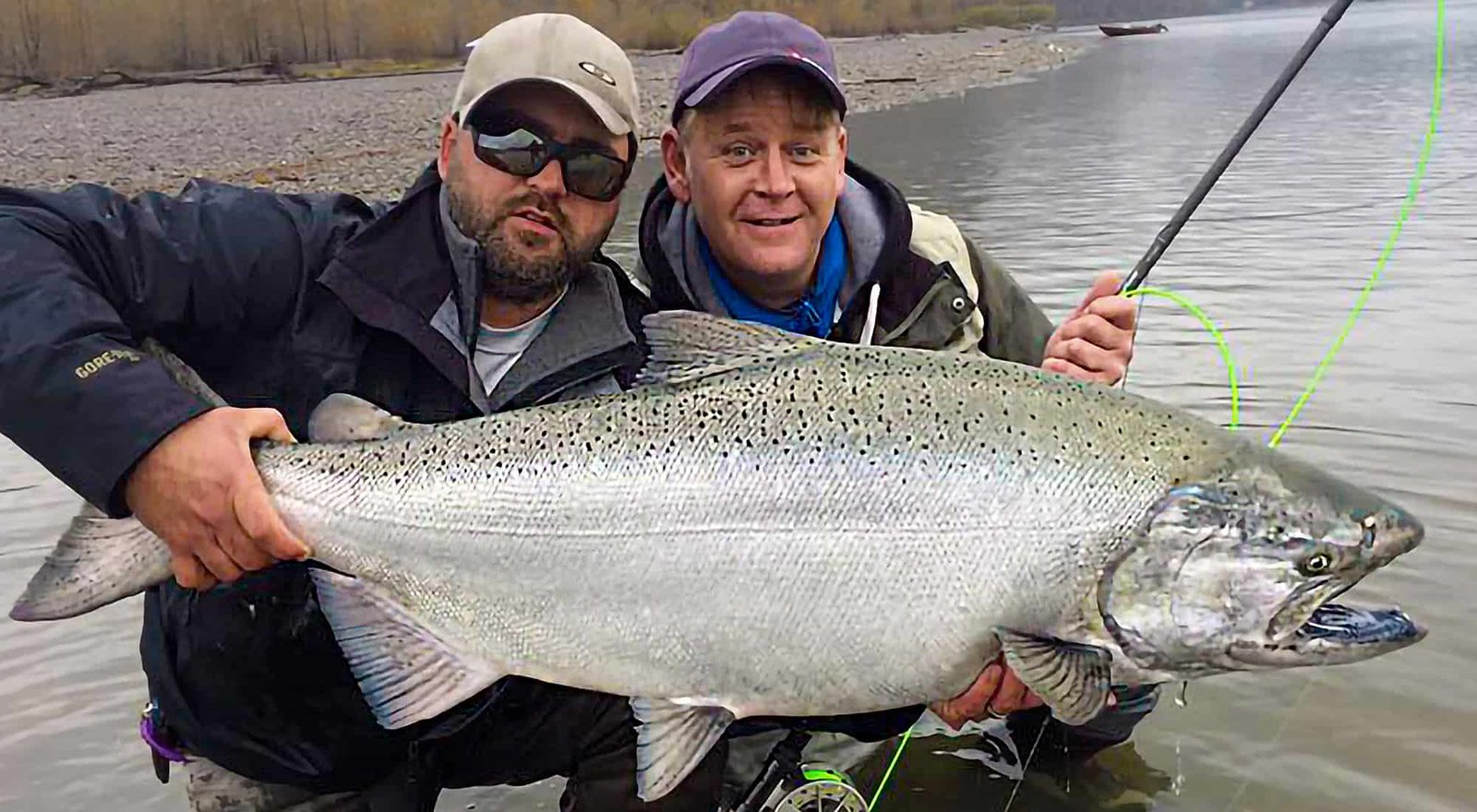 Fishingweeks in Canada after Chinook Chum Coho and Sturgeon 12 % - fishingweeks