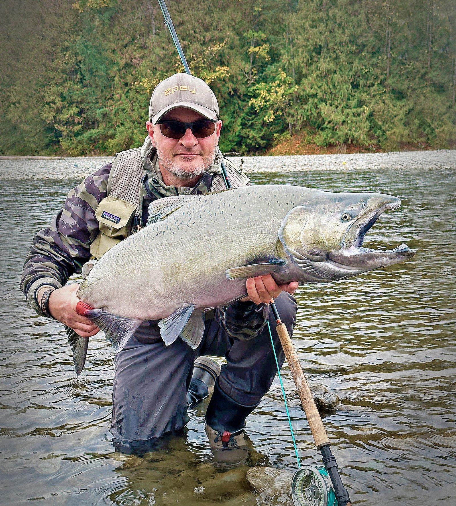 Fishingweeks in Chilliwack catching Salmon Chum Coho 1 % - fishingweeks