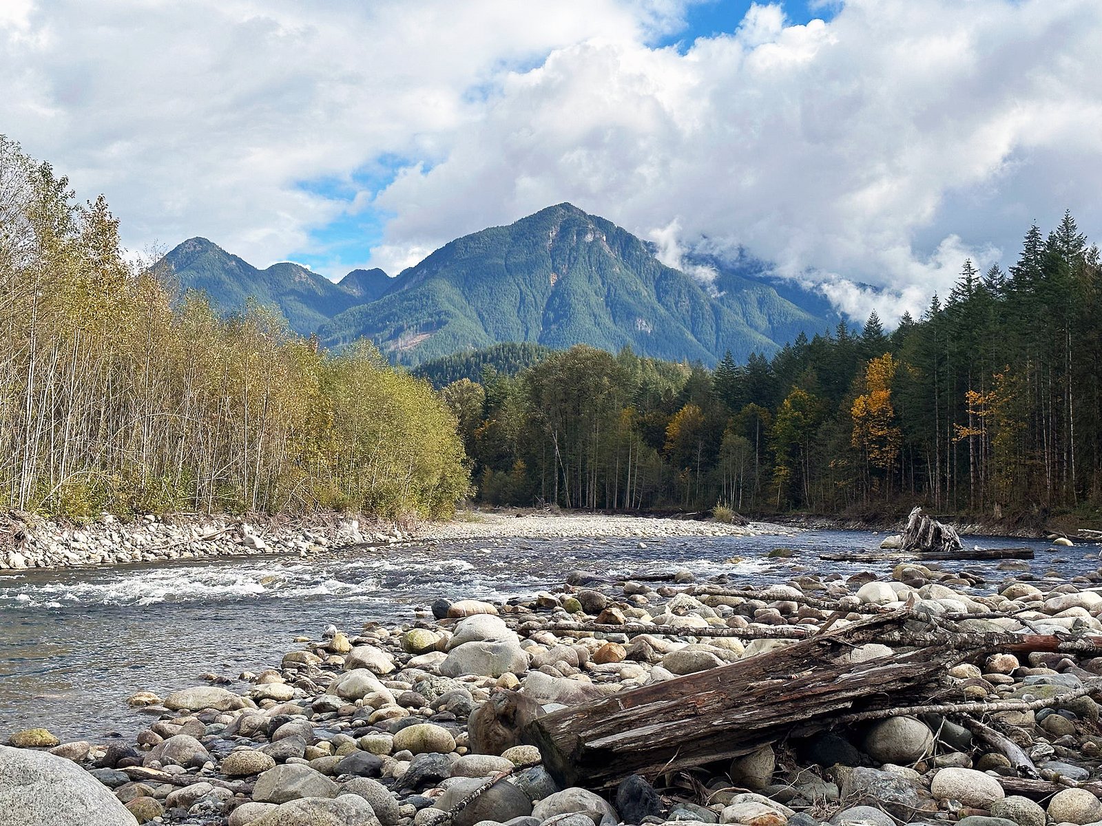 Fishingweeks in Chilliwack catching Salmon Chum Coho 5 % - fishingweeks