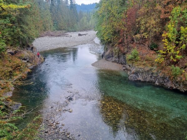 Fishingweeks in Chilliwack catching Salmon, Chum, Coho (1)